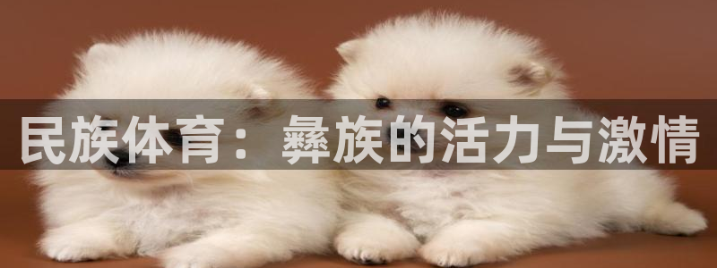 民族体育：彝族的活力与激情