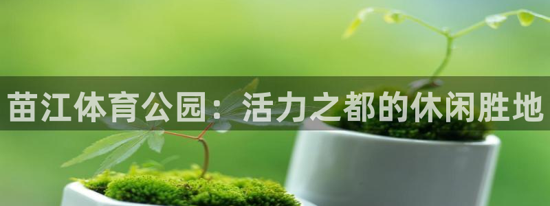苗江体育公园：活力之都的休闲胜地
