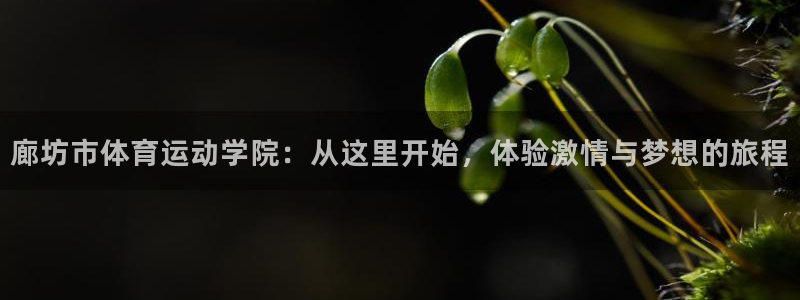 廊坊市体育运动学院：从这里开始，体验激情与梦想的旅程