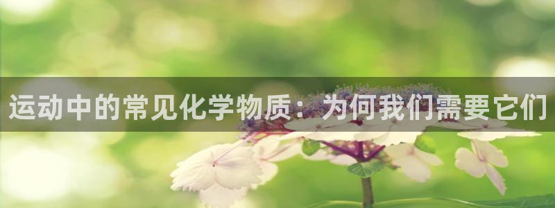 运动中的常见化学物质：为何我们需要它们