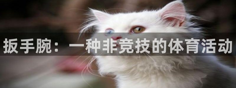 扳手腕：一种非竞技的体育活动
