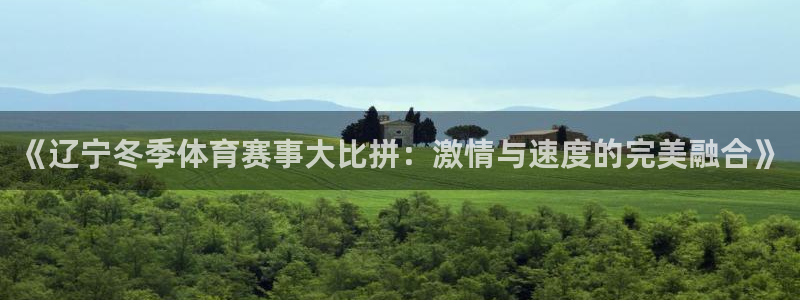 《辽宁冬季体育赛事大比拼：激情与速度的完美融合》